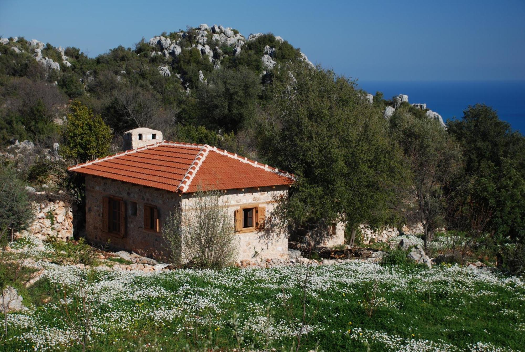 Hoyran Wedre Country Houses Davazlar Εξωτερικό φωτογραφία